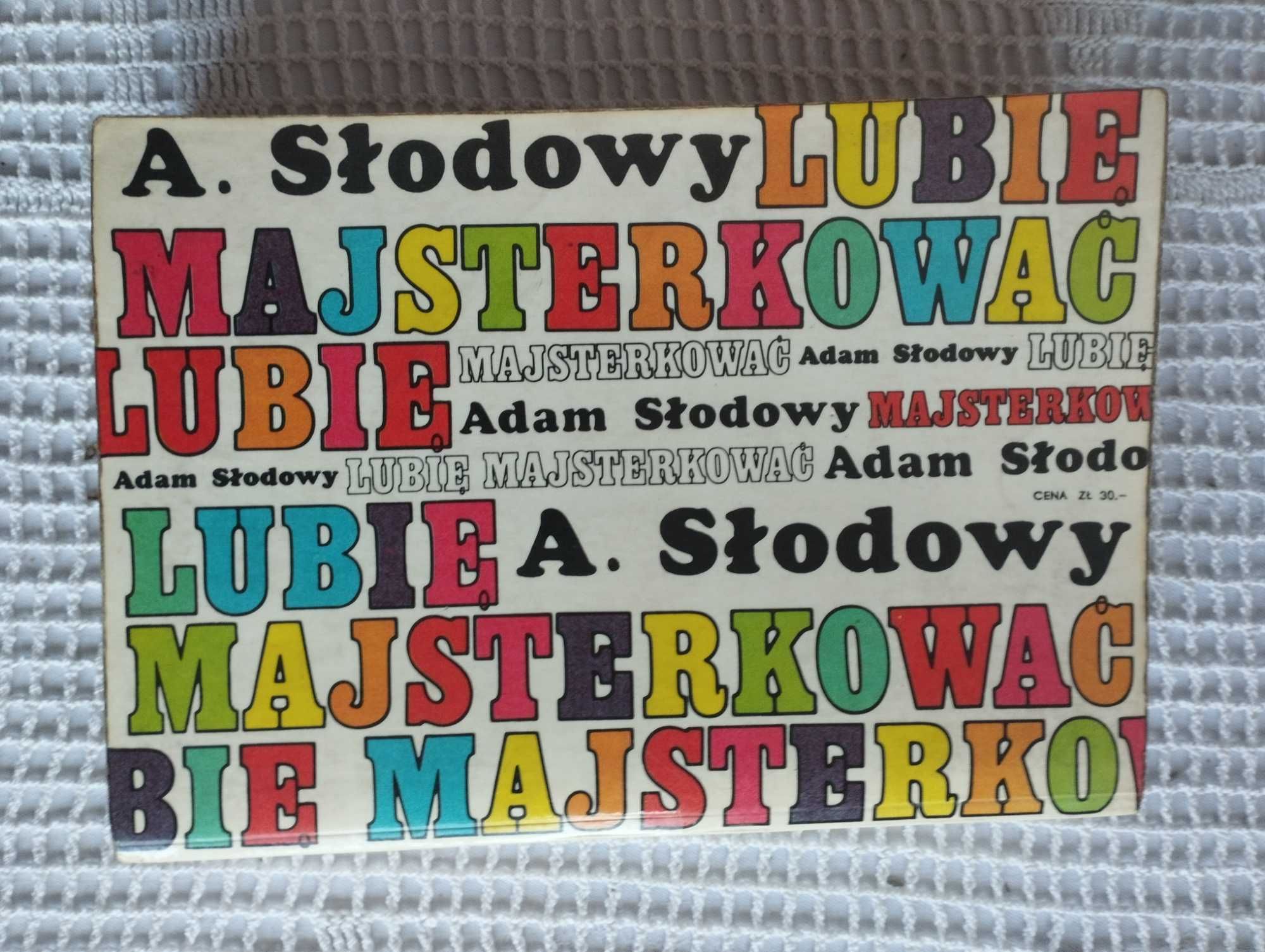 Książka Adam Słodowy "Lubię majsterkować"