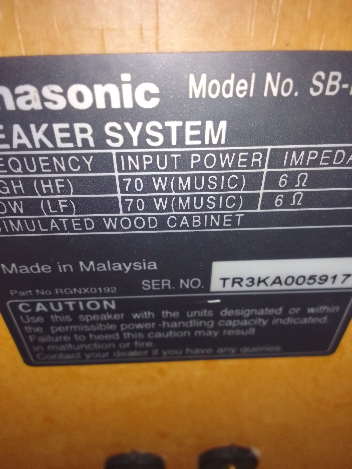 Panasonic speaker system