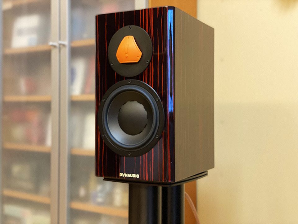 Dynaudio Special Forty  Нова/ в наявності