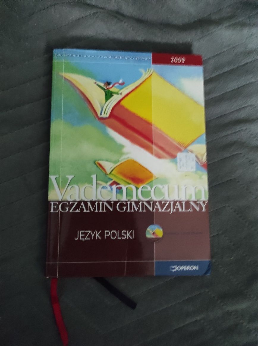 Vademecum gimnazjalisty język polski