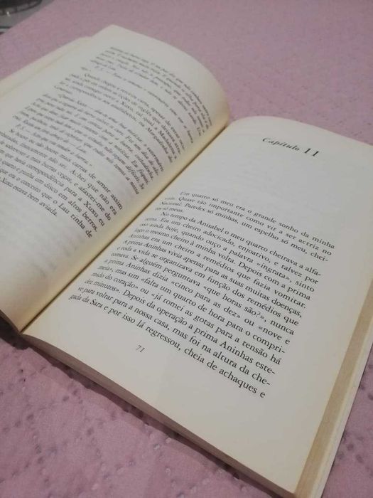 Livro Úrsula, a Maior - Alice Vieira