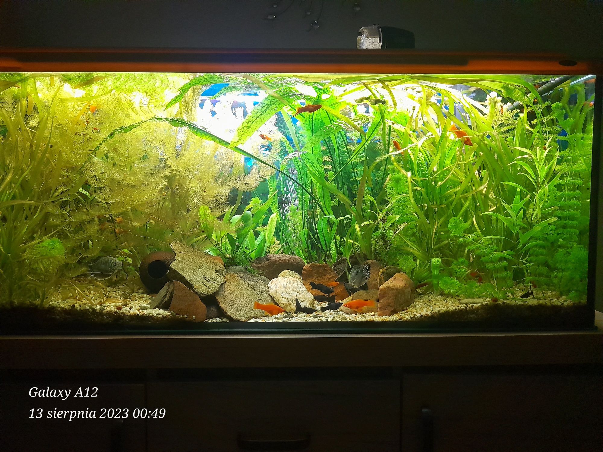 Oświetlenie akwarium Lampa LED 1m 95cm
