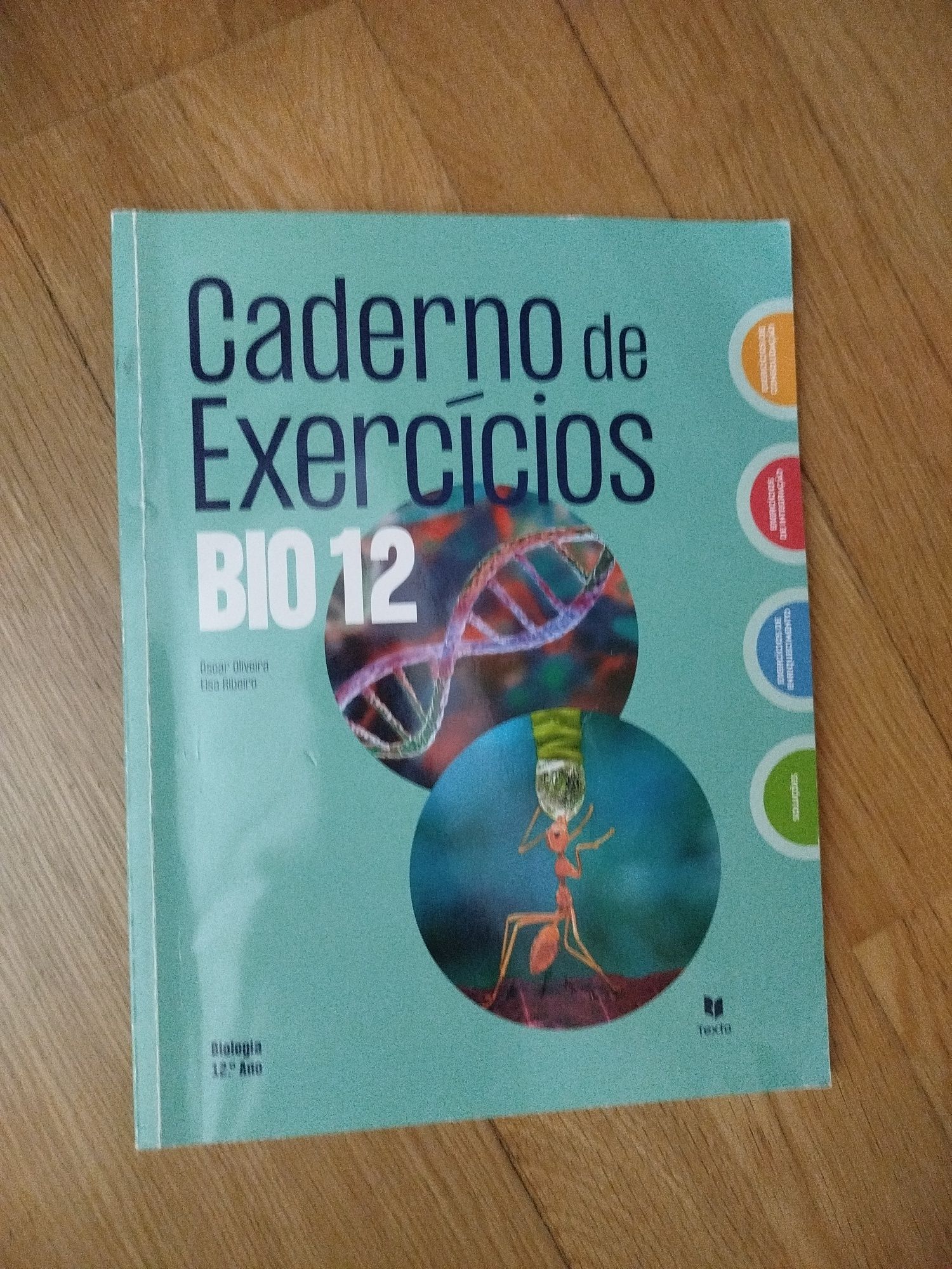 Cadernos fichas 12° ano