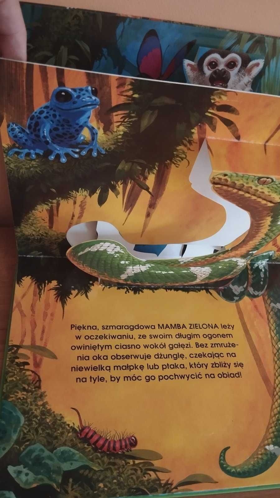 Zwierzęta dzungli książkа pop-up