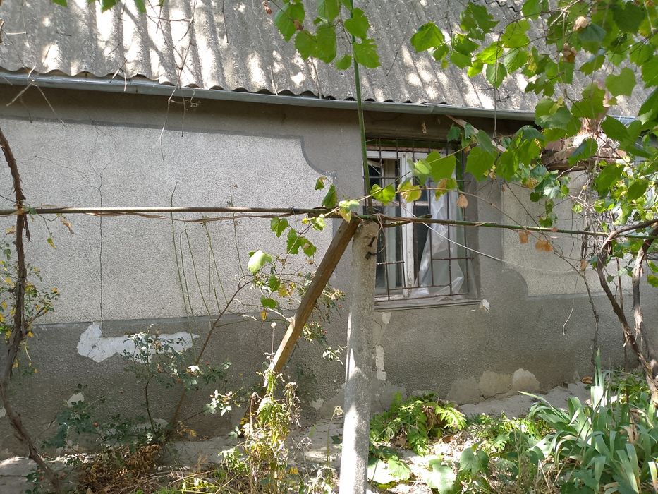 Сдам дом-дачу. Не дорого.