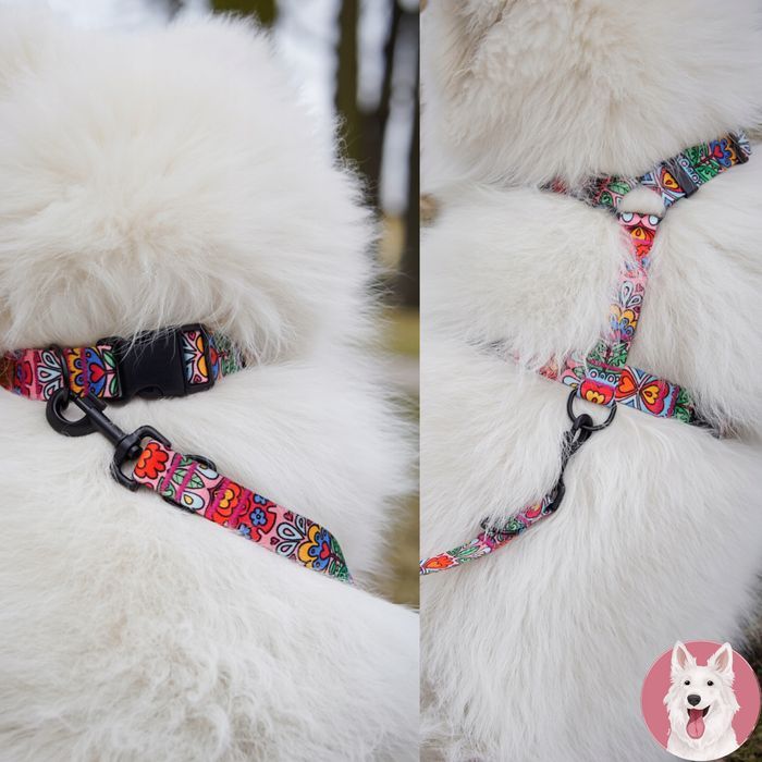 półzaciskowa obroża dla psa jamnika mopsa bostona 26-34 cm kolorowa