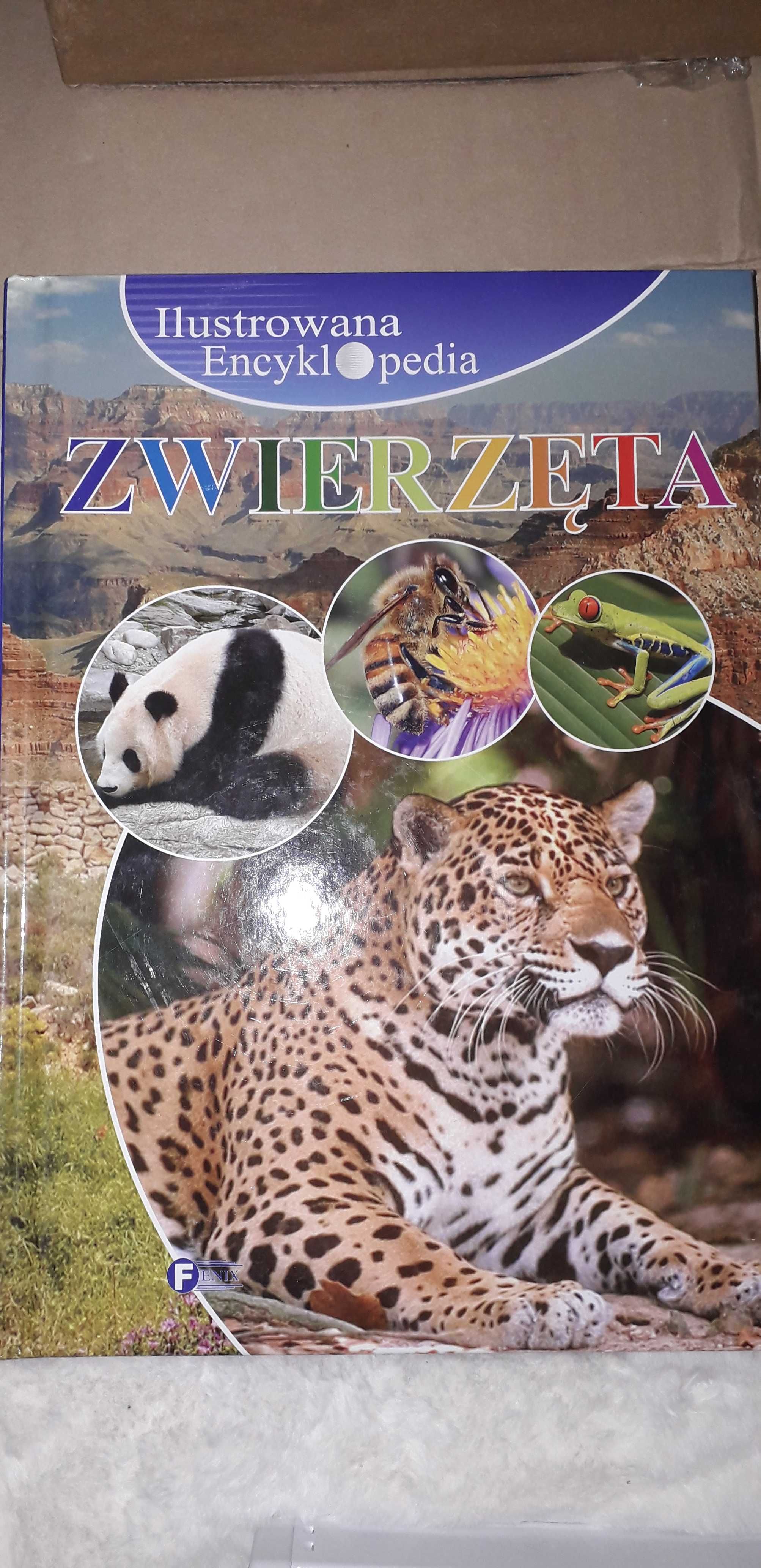 Ilustrowana encyklopedia Zwierzęta