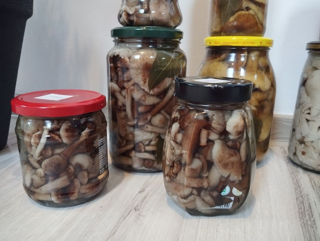 Грибы маринованные вешенка,опята,польский,говорушка,зеленушка,рядовка