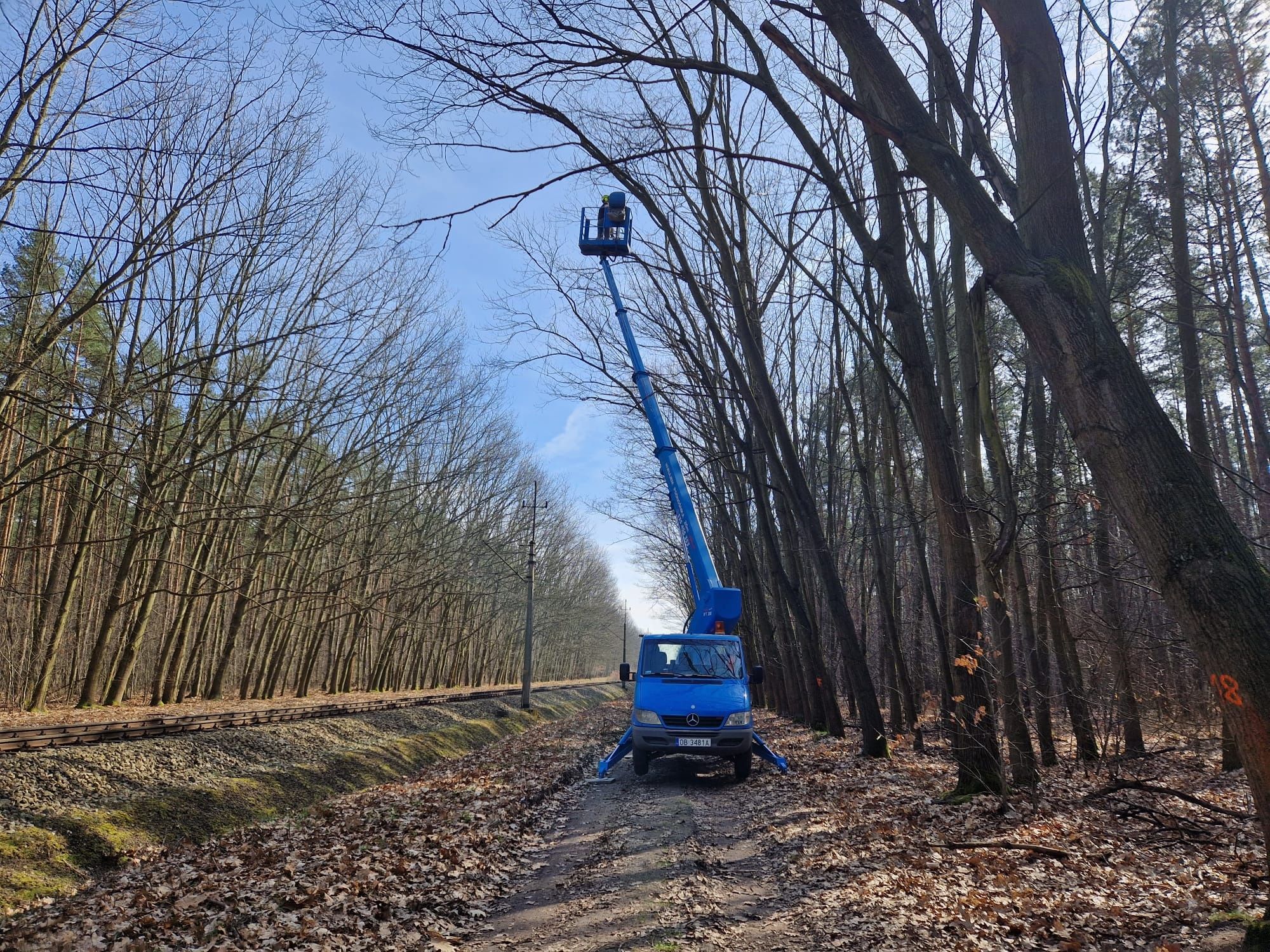 Wycinka drzew. Podnośnik koszowy. Rębak. Frezowanie Pni!