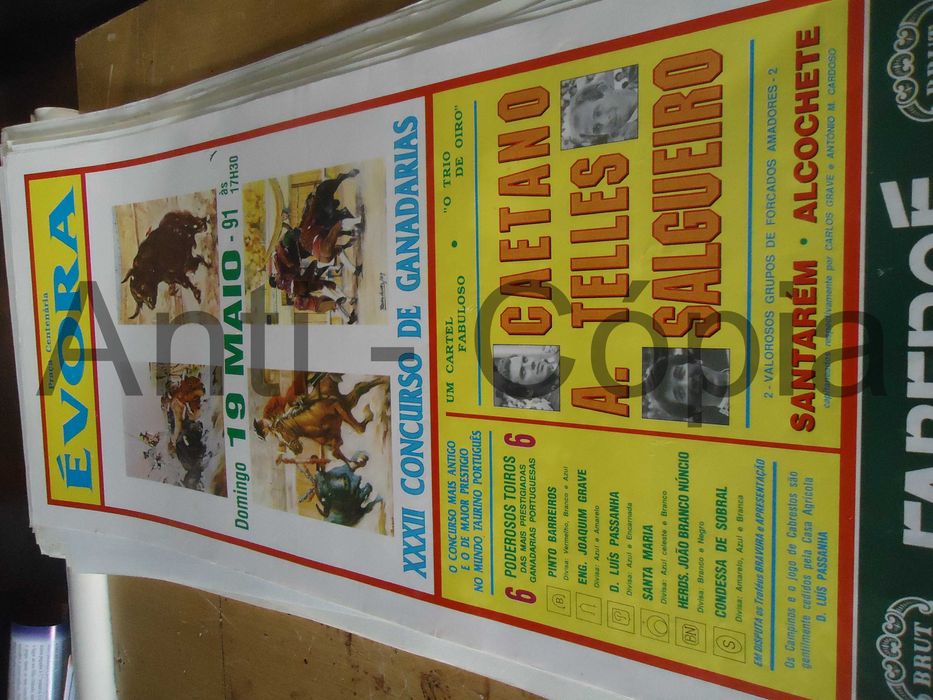Toiros - Cartazes de Montra 10