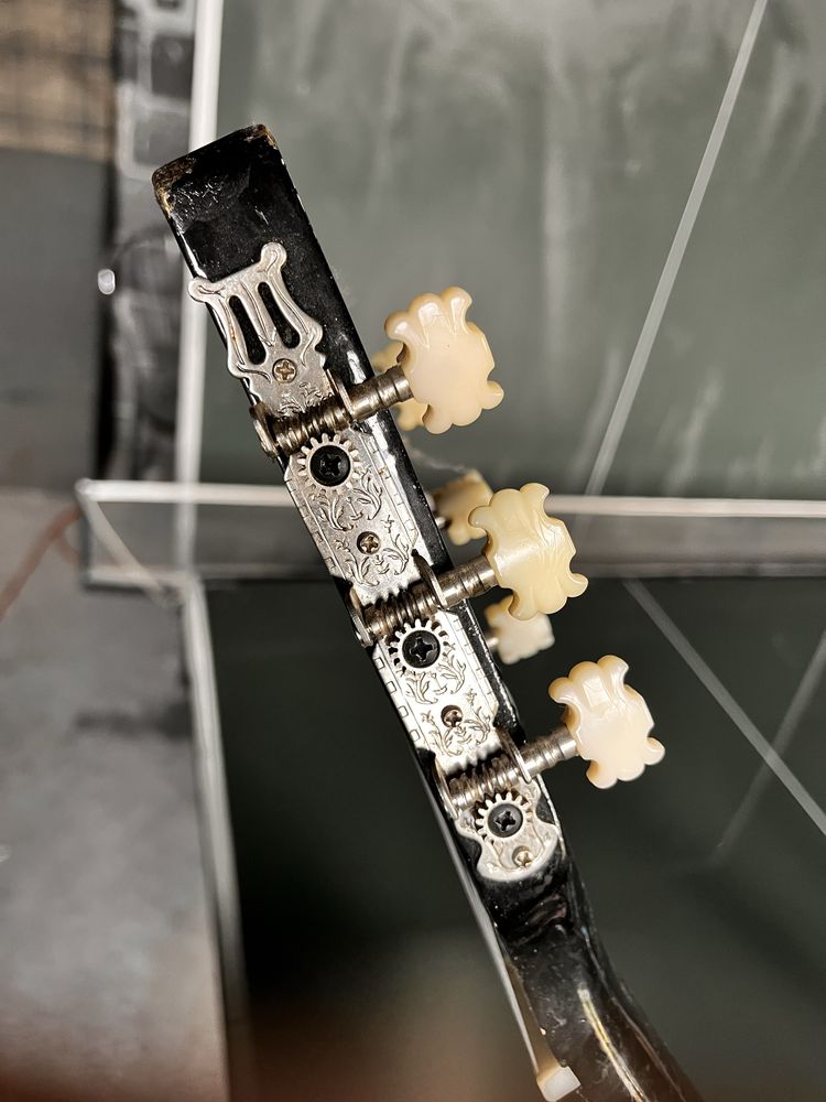 Gitara Do nauki Jasmin c-20