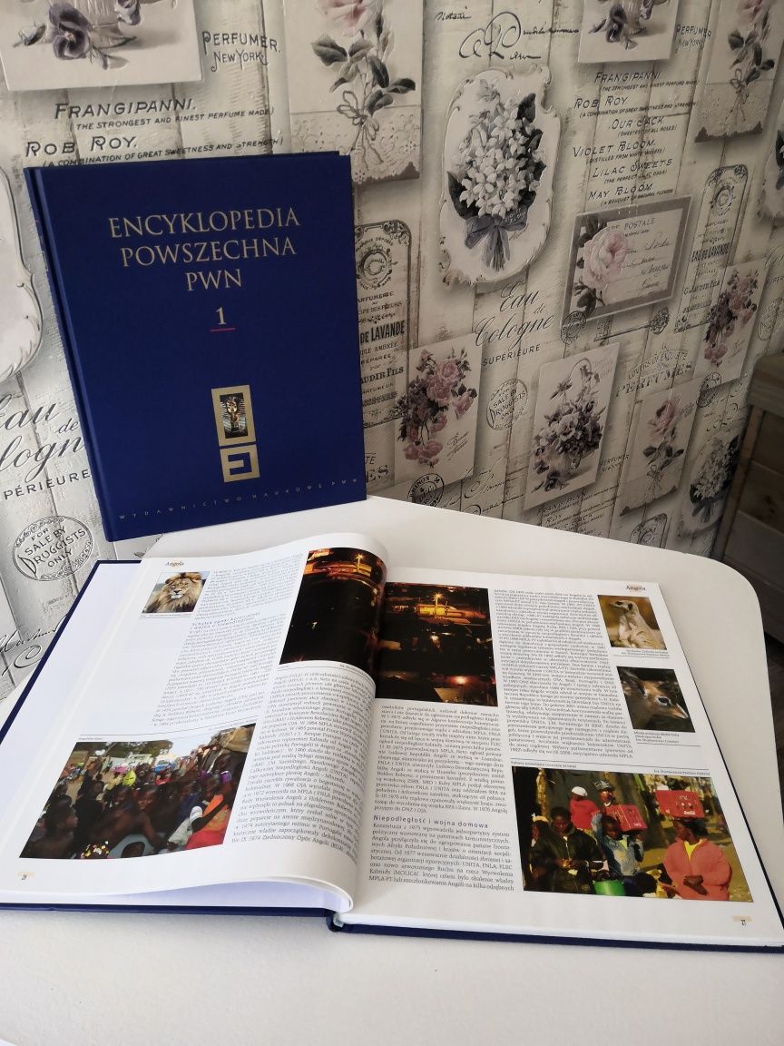 Encyklopedia Powszechna PWN - wydawnictwo naukowe 1 i 2 tom.
