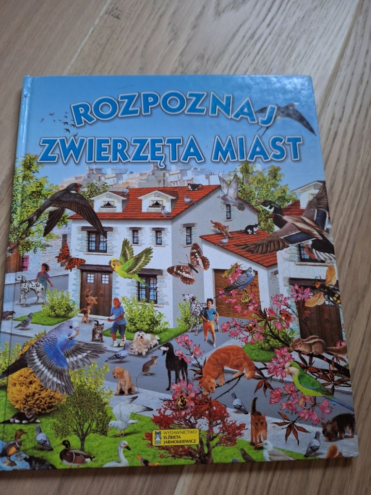 Rozpoznaj zwierzęta miast