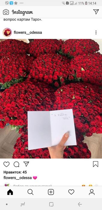 101 Роза ! Красная, белая!