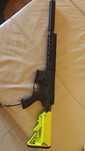 HPA Rossi sentinel com Pulsar S