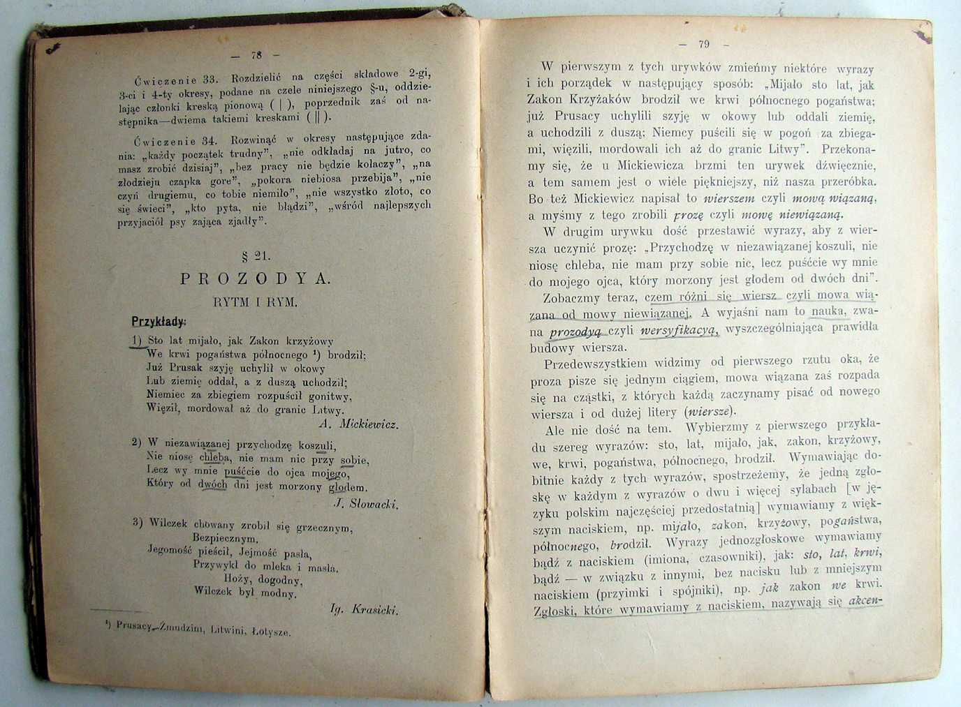 Stylistyka i teorya literatury. Wykład systematyczny. Wyd. IV. 1912.