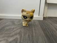 Lps littlest pet shop kot kotek shorthair