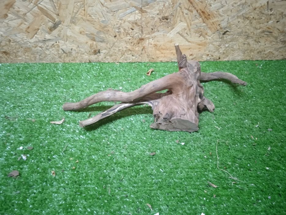 Korzeń do akwarium Red Moore Wood nr 464 o wymiarach 30/12/12