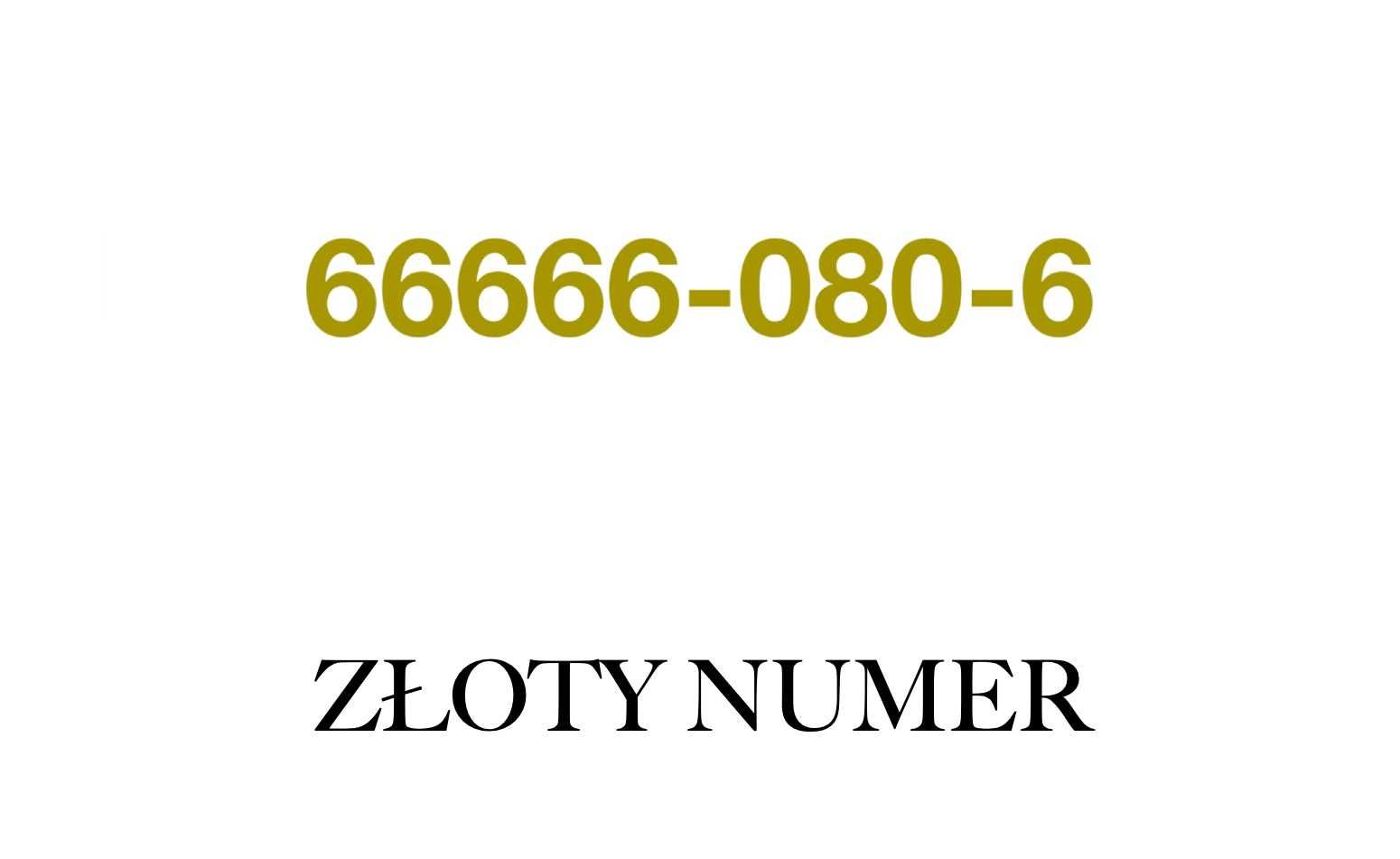 Złoty numer 66666_080_6