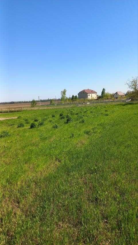 Земельна ділянка с. Глибоке Бориспільський район під забудову 0,24 га