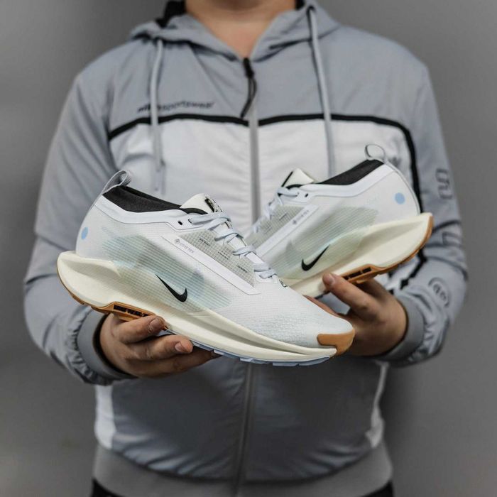 Кросівки Nike Pegasus Trail 5 Gore-Tex White/Beige premium