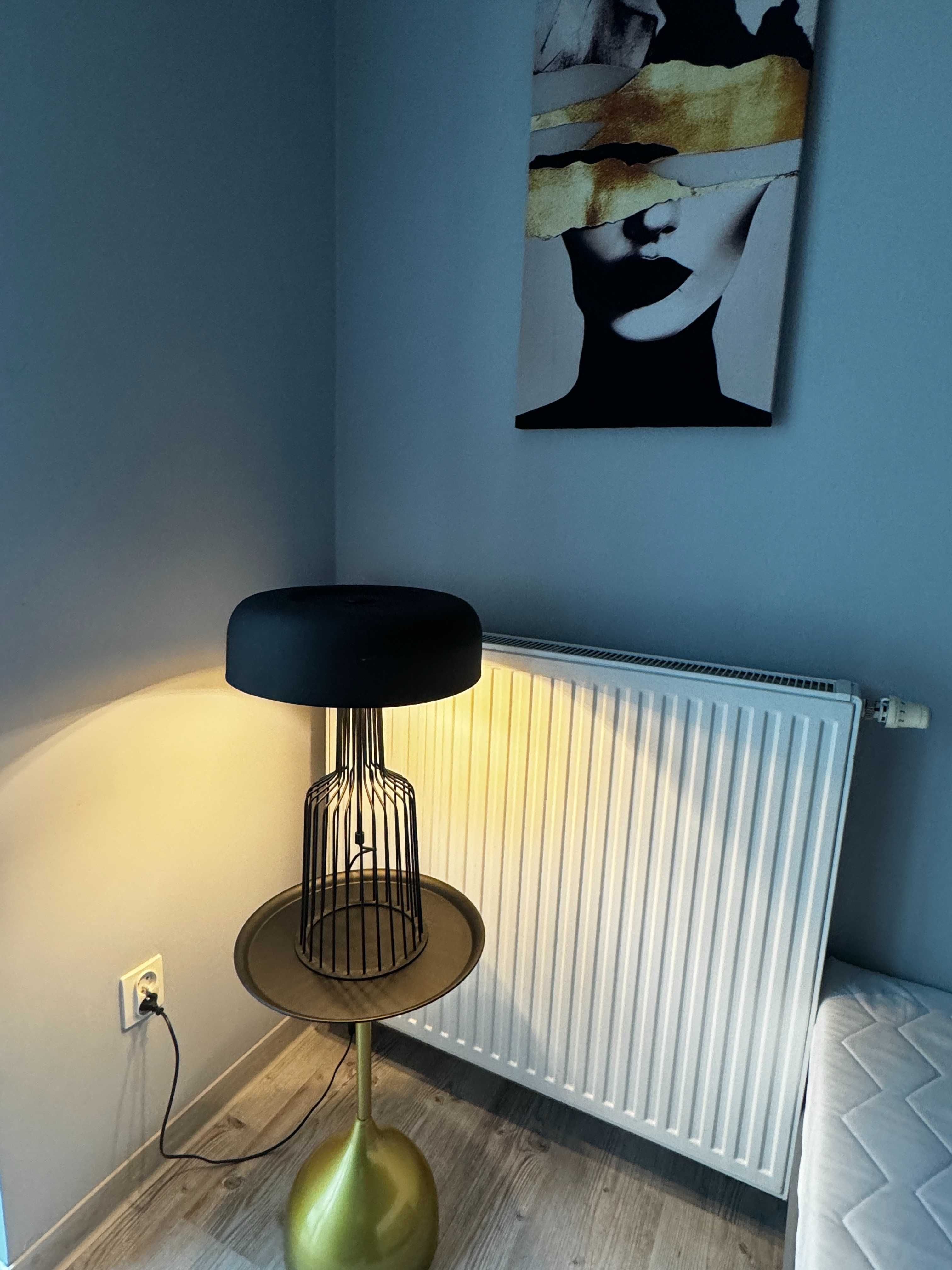 Noclegi, apartamenty Konstantynów Ł, Aleksandrów Ł, Zgierz, Pabianice.