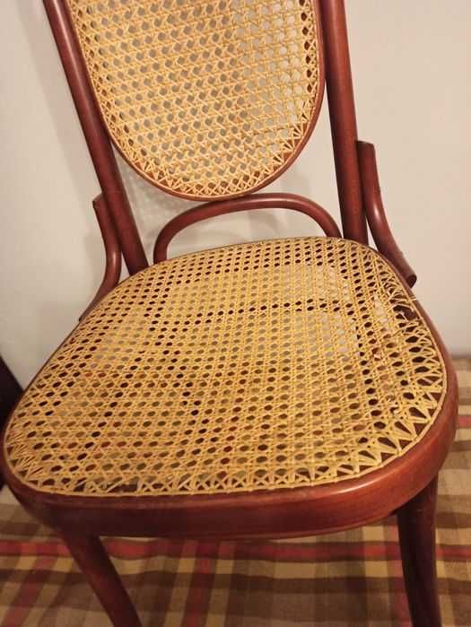 6 szt krzesła Rattan proj. Thonet Jasienica mahoń