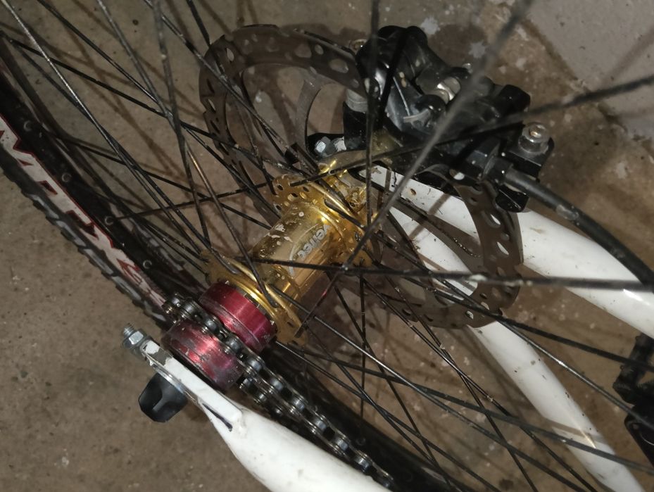 rower dh/fr ns bikes bitch