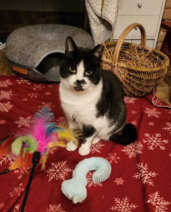 Już ponad 3 lata mieszka w zimnym przytułku. Daj szansę Jenny