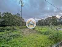 Terreno Rústico com Viabilidade de Construção em São Pedro do Sul