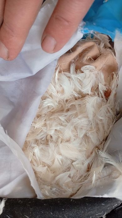 подушка перо куриное