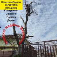 Зрізання видалення , кронування дерев , Львів .Рясне .Брюховичі.Зм/Вод