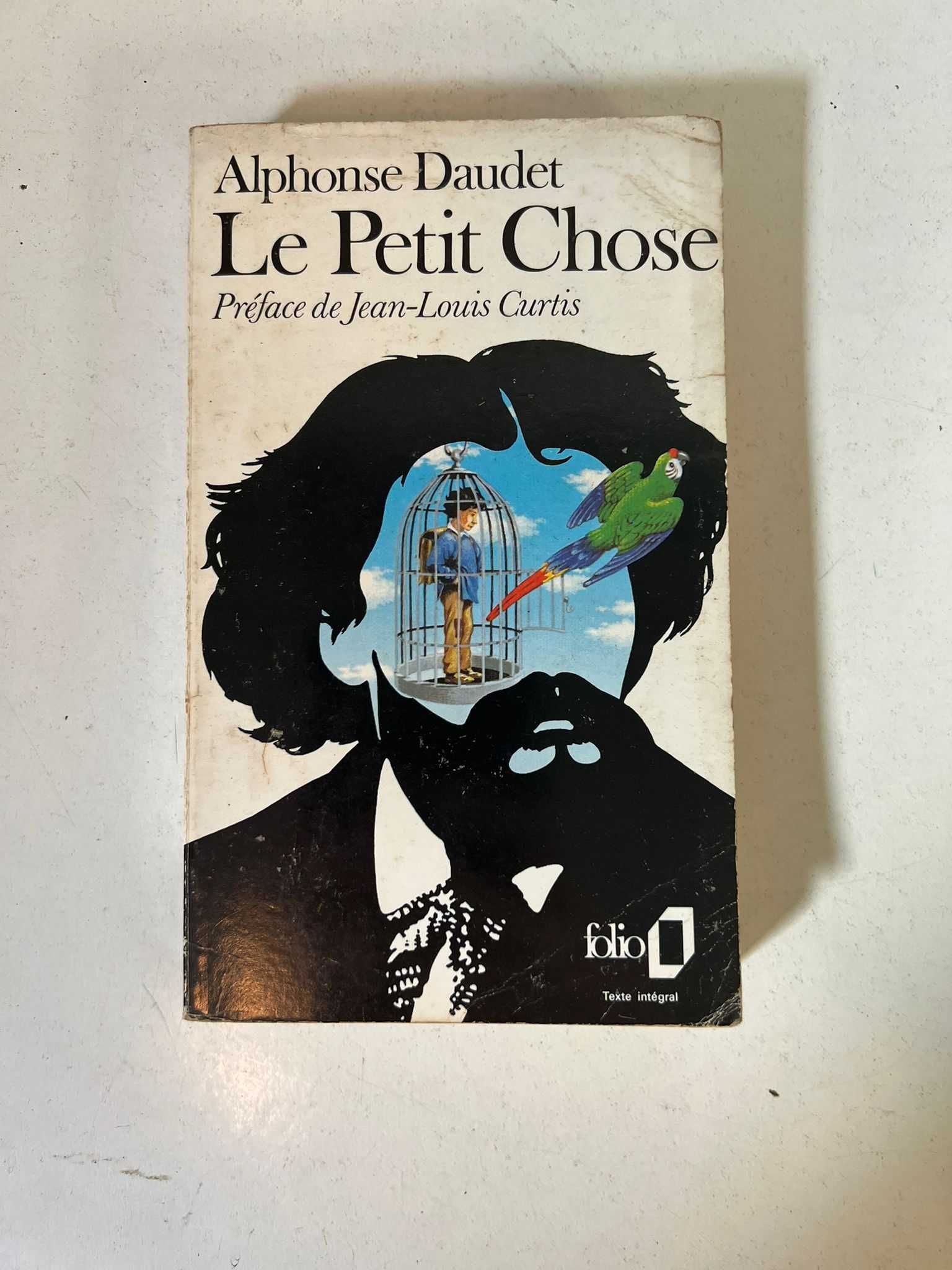 Livro - Le Petit Chose (ctt editorial grátis)