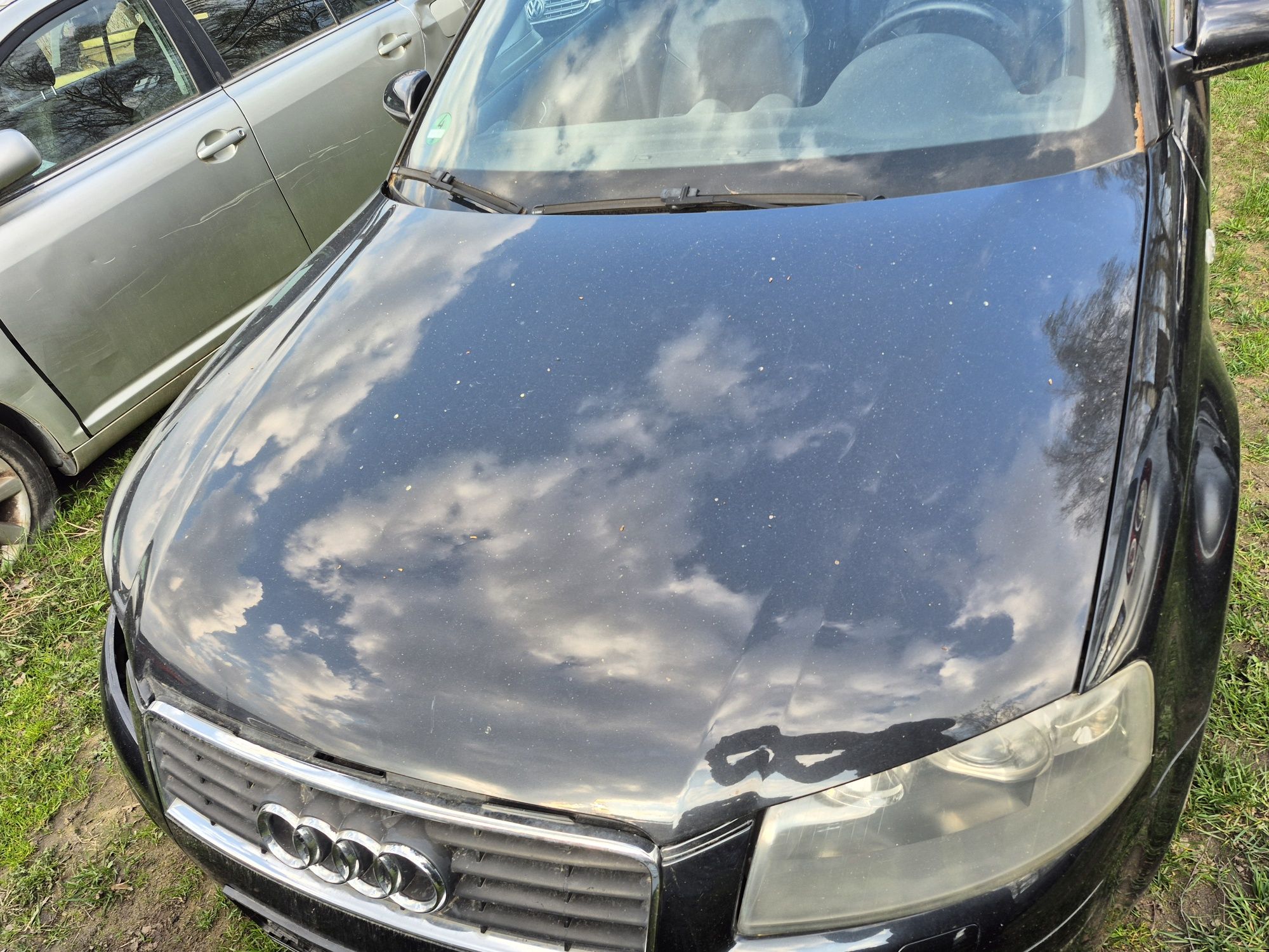 Audi a3 8p 3d kolor lz9w błotnik drzwi maska zderzak klapa lusterko