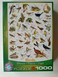 Puzzle 1000 Eurographics Birds