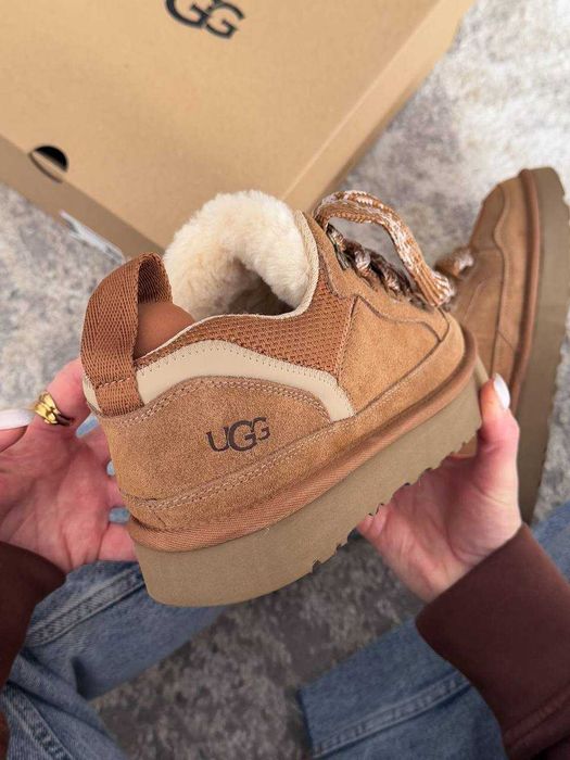 Женские ботинки UGG Lowmel Sneaker Chestnut 36-41 Натур Замша! Купить!