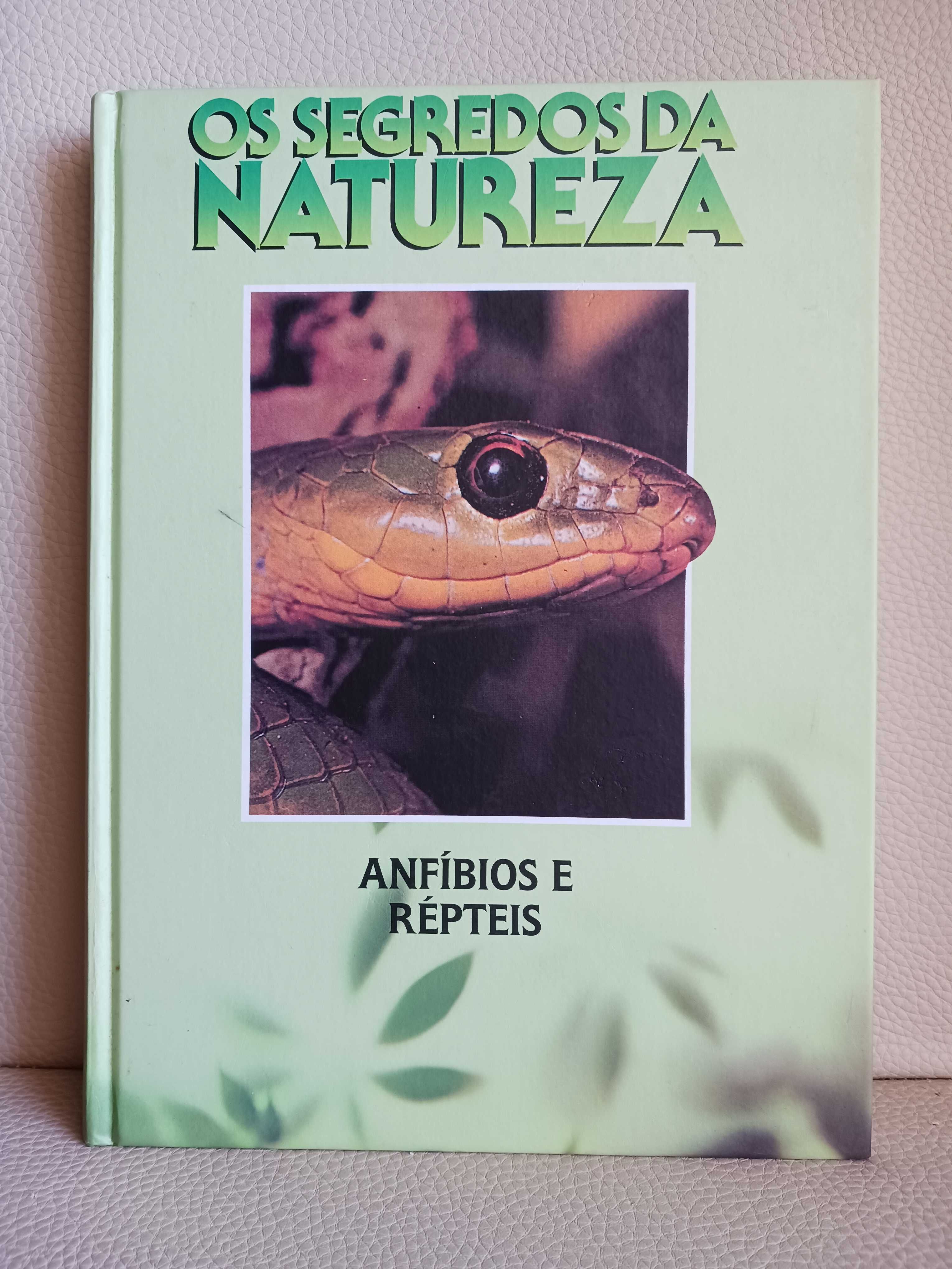 Enciclopédia ' Os Segredos da Natureza' da EDICLUBE