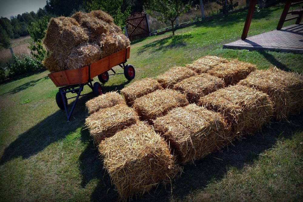 Słoma w kostkach 2024!! (Snopek) Tegoroczne Wysyłka, Możliwy Transport