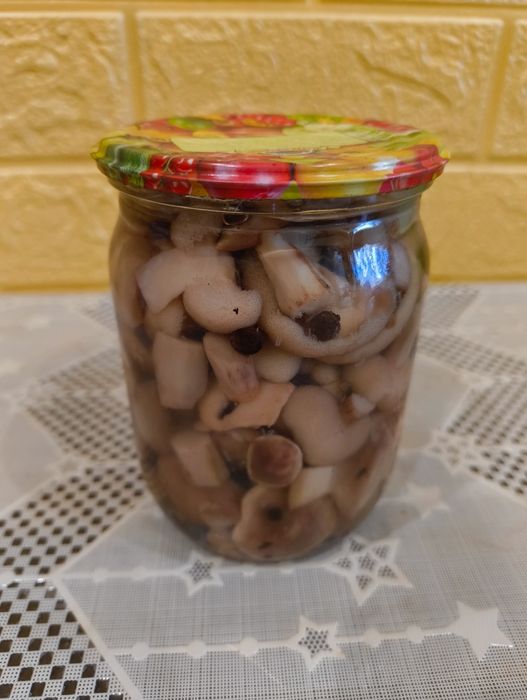 Гриби консервовані,Білі,польські,маслята