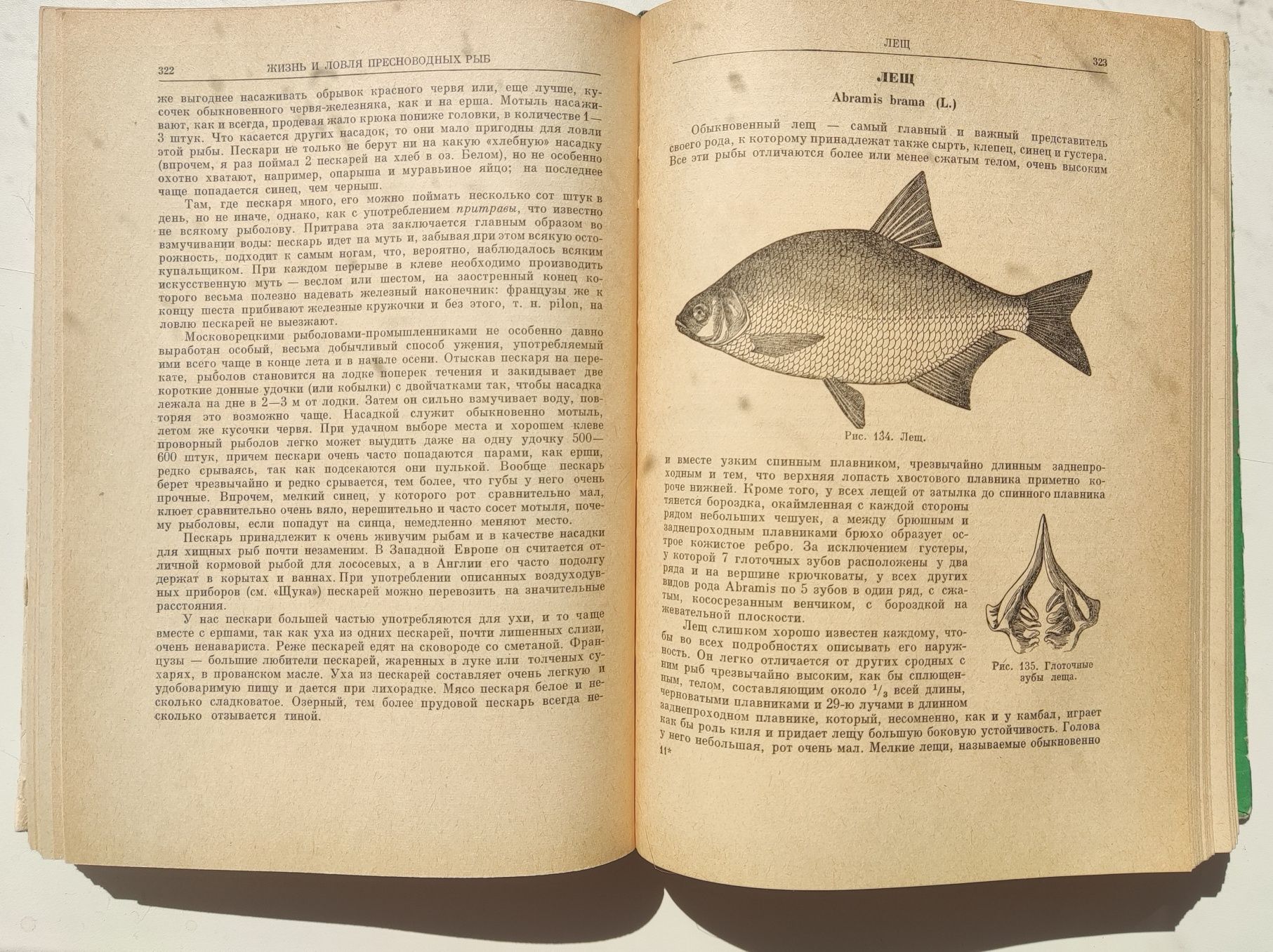 Продам книгу. Жизнь и ловля пресноводных рыб. Сабанеев Л.П.