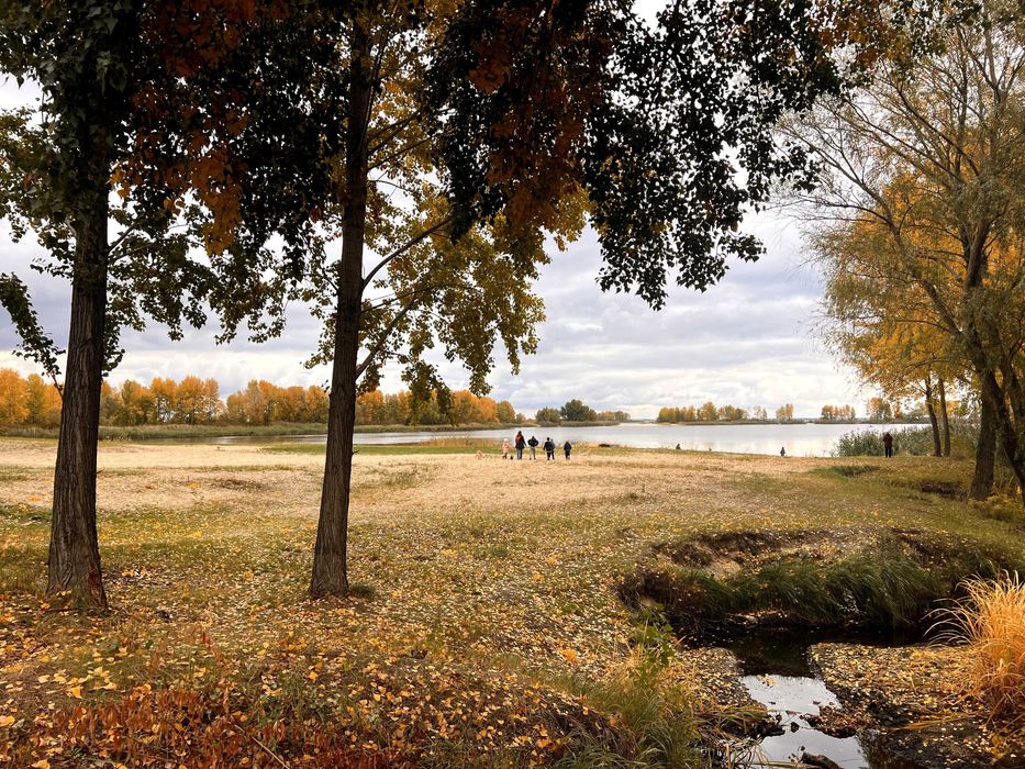 1-к квартира, Митниця, Черкаси. Дуже тепла і суха. Поруч Дніпро