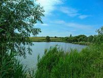 Оренда земельної ділянки, площею 6,4226 га, Кіровоградська обл.