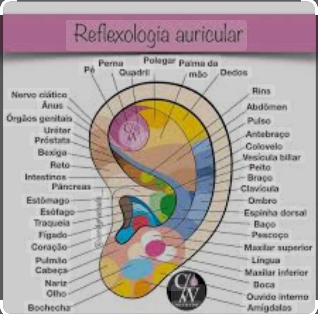 MASSAGEM  PARA MULHERES ! SOU CERTIFICADA POR DGERT.