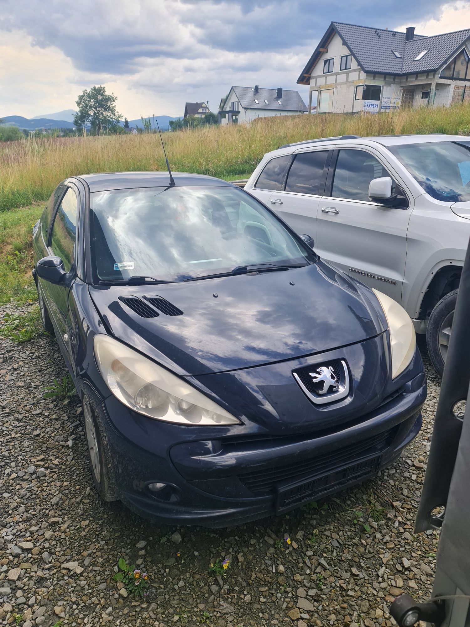 Sprzedam Peugeot 206+
