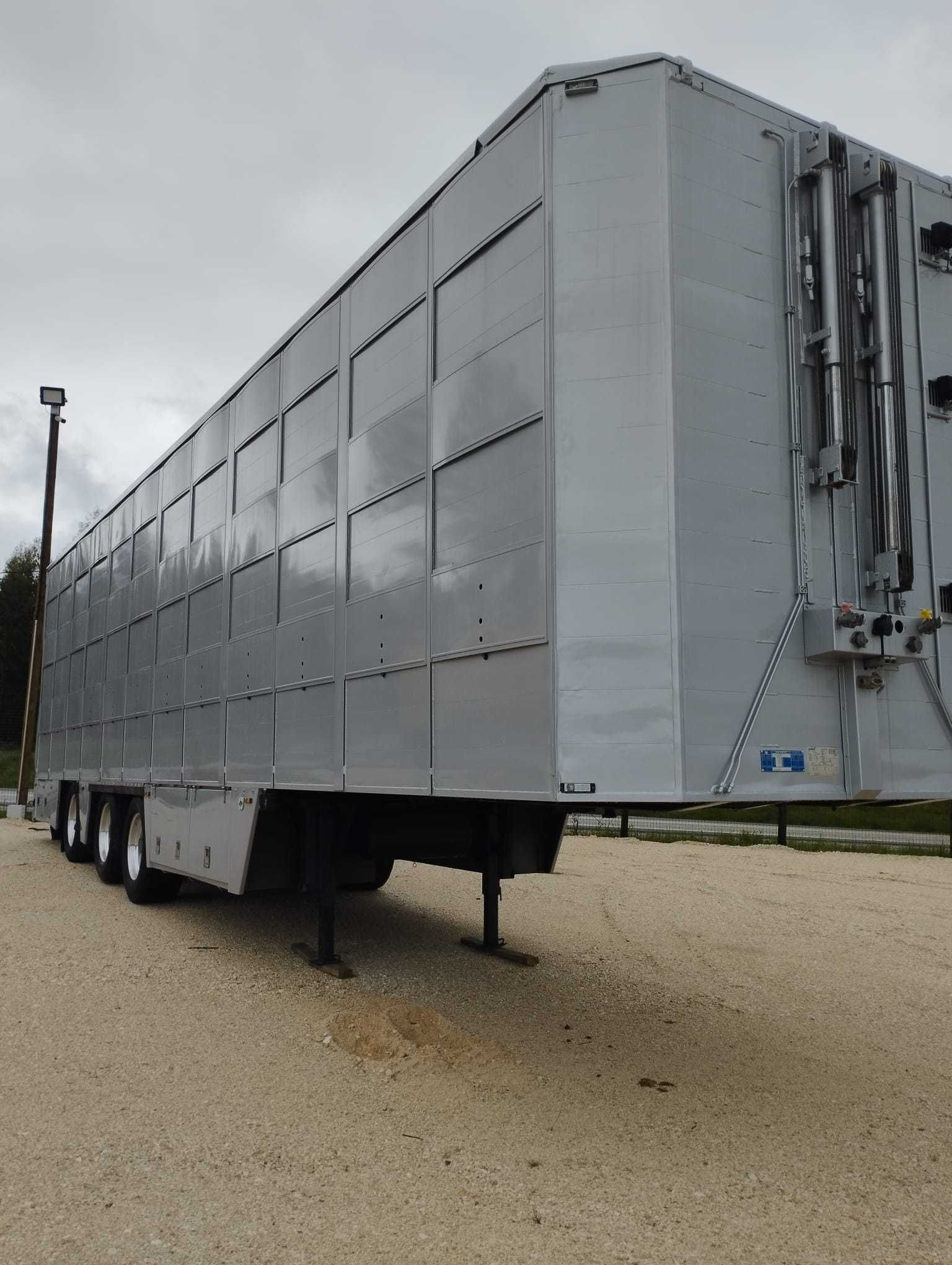 Reboque transporte de animais vivos