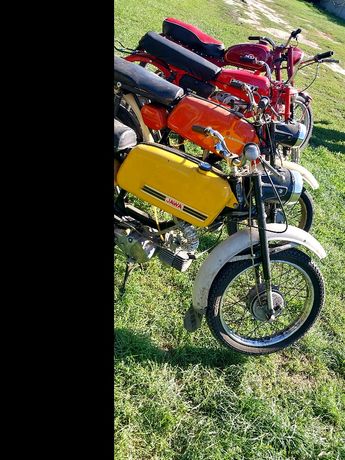 Jawka mustang 50