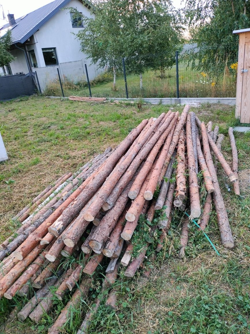 Stemple budowlane( około 230 sztuk) , super stan , długie i krótsze