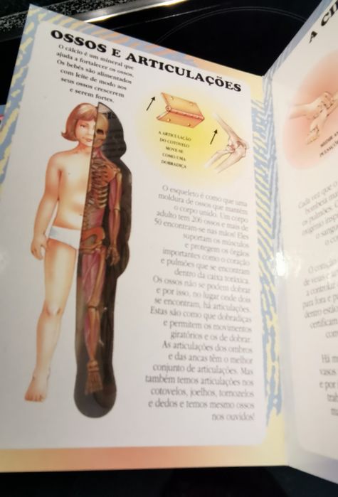 O meu primeiro livro do corpo humano