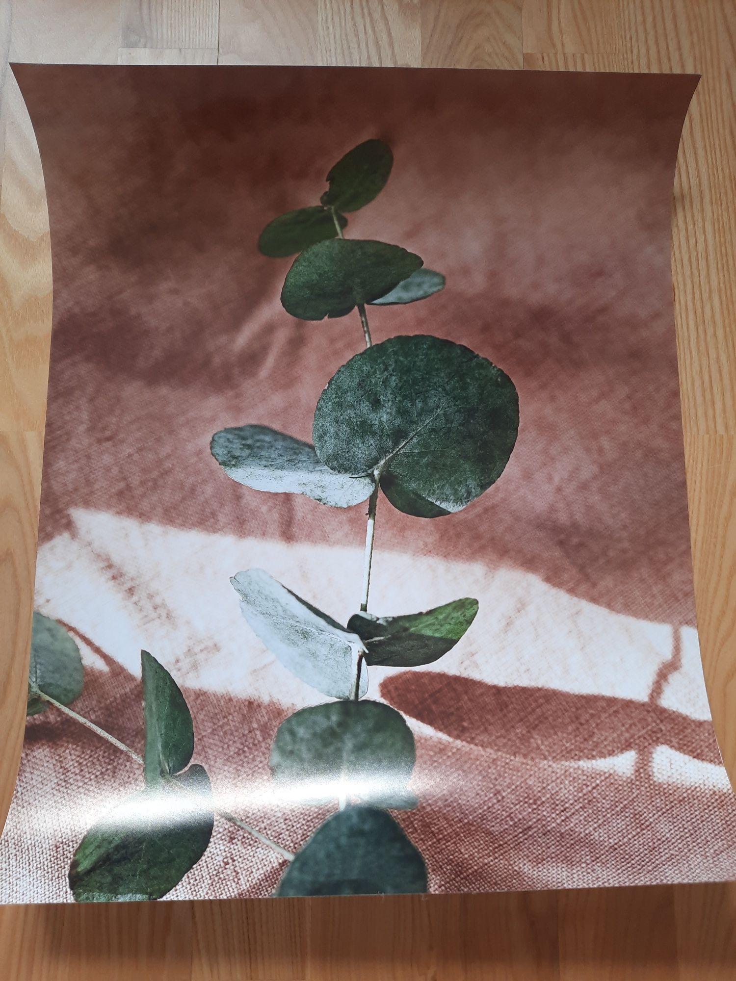 Zestaw plakatów firmy posterilla lub pojedynczo