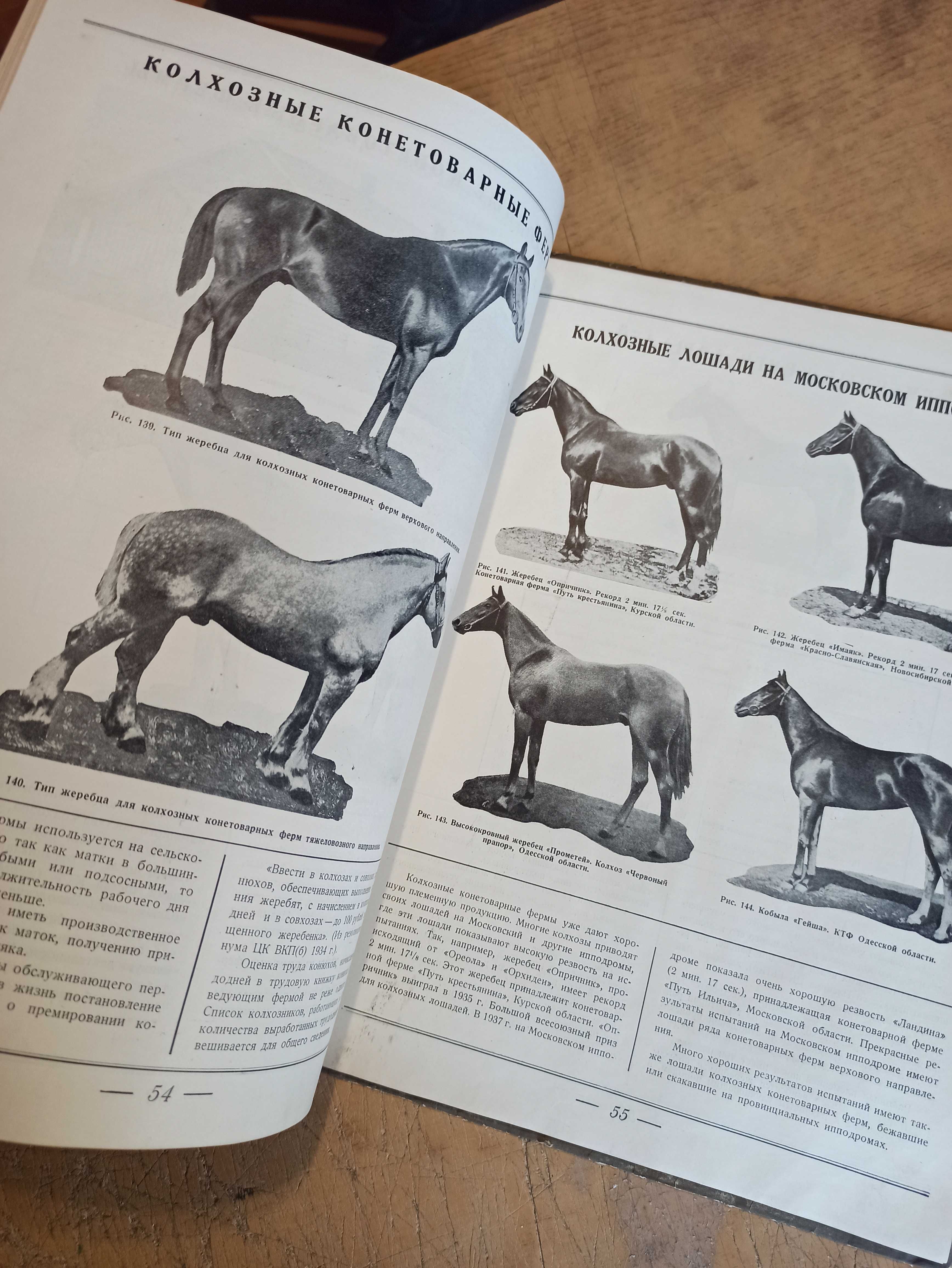 Породы, экстерьер и разведение лошадей (разведение и тренинг) 1938 г.